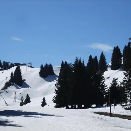 Montagne 11 P Grand Massif 100 M Telecabine *